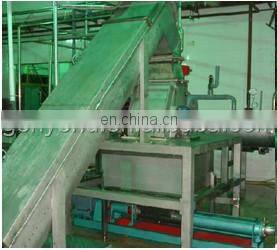 Not Contain Any Preservatives Additives of Carrot Juice Making Machine photo-5