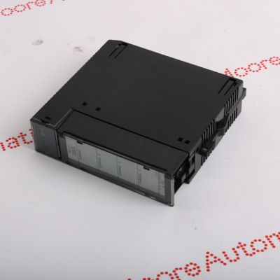 GE IC693ALG221 photo-4