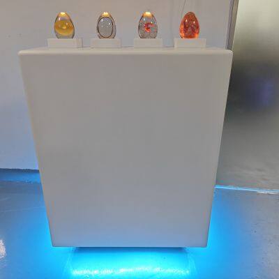 Egg Hatching Demonstration Model Manufacturer photo-3