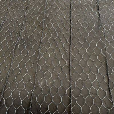 Shijiazhuang Factory PVC Coating Active Hexagonal Rock Netting System Woven Plain Weave Technique for Rockfall Protection