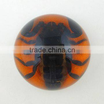 2016 New design wholesale paperweight with real insect