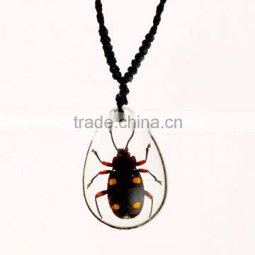 New Fashion Lovely Necklace With Real Insect photo-2