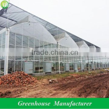 Galvanized Multi-span Decorative Greenhouse