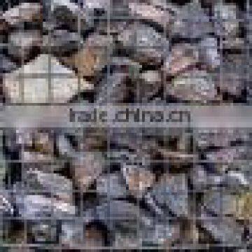 gabion mesh