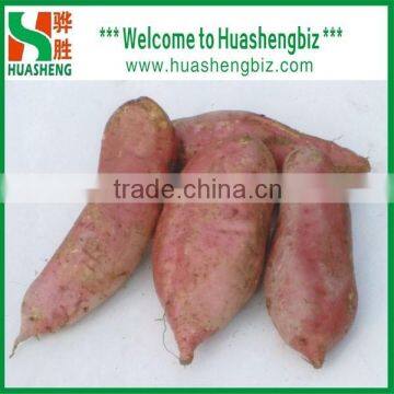 [Hot] Chinese fresh sweet potato suppliers/Chinese purple sweet potato