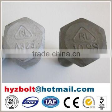 High strength hot dip galvanized bolt S10T