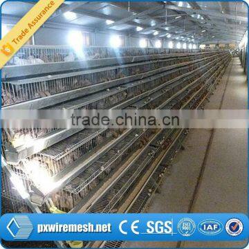 New Design good quality metal quail cage for sale(manufacturer factory)