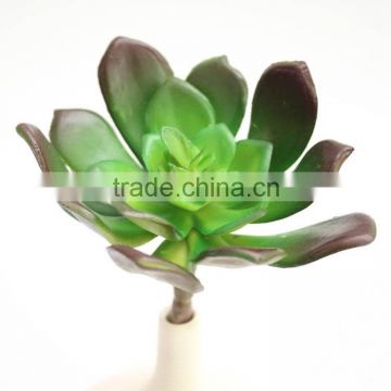 Creative indoor decor mini white ceramic planter succulent plants