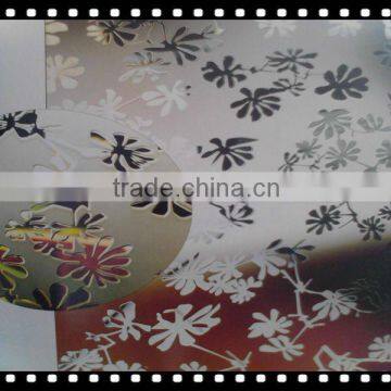 acid etched glass use for bathroom door