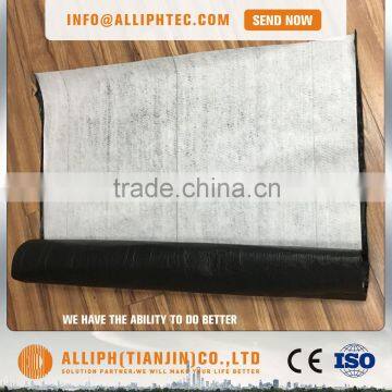 SBS Modified Bitumen Waterproof Membrane Type Roofing Material photo-2