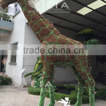 Outdoor Indoor Grass Garden Ornamental Topiary Sculpture