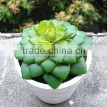 Professional hot sale artificial succulent plant for table decoration