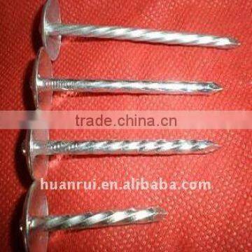 neoprene washer roofing screw5-1