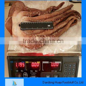 frozen seafood octopus