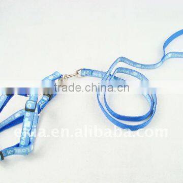 dog leash and harness