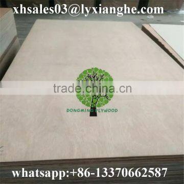 FSC Container Floor Plywood Factory Sale Linyi