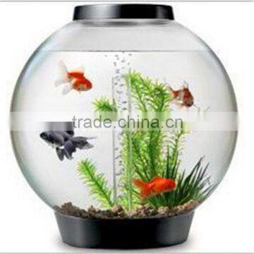 Fish Tanks Fish Sale Large Prices