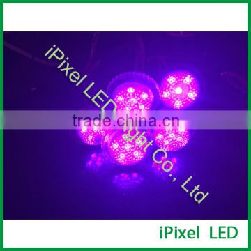 38 mm 6 leds DC24V point pixel clear color body