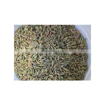 Dried fennel seeds