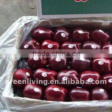 2014 yantai full blush fresh fuji apple(low price)