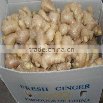 air dry ginger