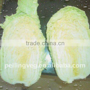 Chinese Green Cabbage From Shouguang