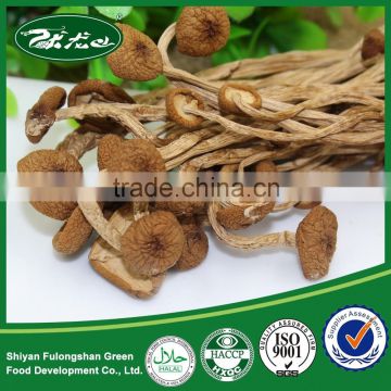 100% Natural Wild Organic Dried Agrocybe, Edible Mushroom