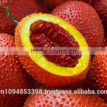 Gac Fruit Puree photo-6