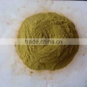 green chilli powder green chilli HACCP HALAL