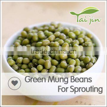 Export Various Green Mung Beans Specification ,grade a Green Mung Bean Sprout photo-2