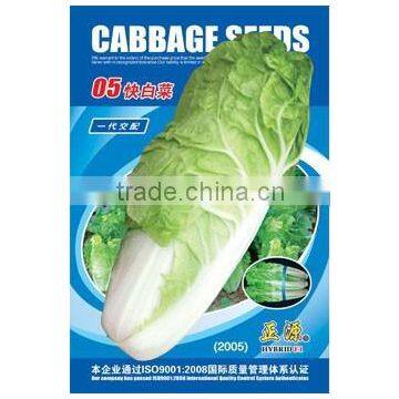 Cabbage seeds high quality vegetable seeds