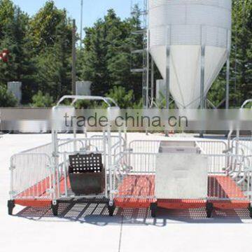 Pig Farming Breeding Equipment/ Gestation Cage/pig Cage/Monomer Sty/pig Stall/sow Single Stall/nursery Stall/farrowing Cage photo-2