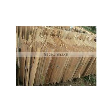 good quality eucalyptus Core Veneer for plywood