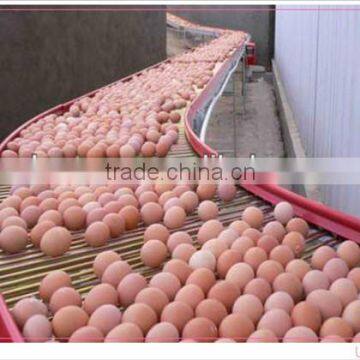 Chicken farm equipment layer chicken cages egg collection machine