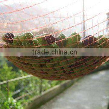 HDPE Agriculture Fruit/Olive Harvest Net/Collecting Net