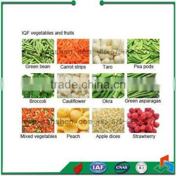SP-I Vegetable and Fruit Processing Line photo-6