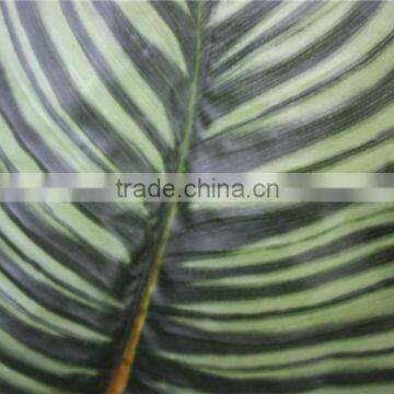 Brand Name Artificial Bonsai Plants Artificial Zebra Evergreen Bonsai Decor photo-2