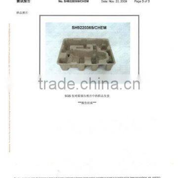 SGS Certificate Page 3 CN