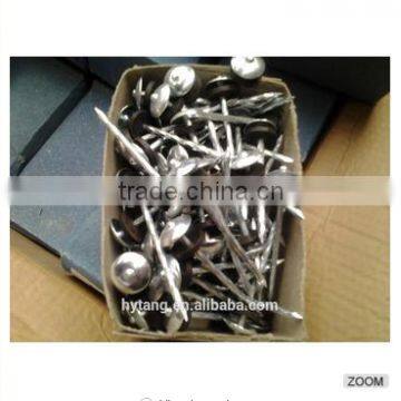 Galvanized Roofing Nails With Umbreall Head photo-2