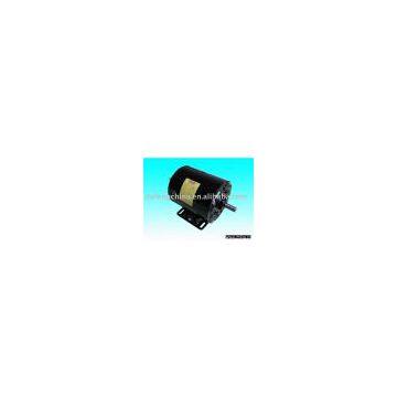 NEMA Motor