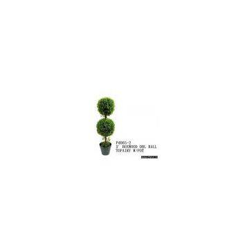 3FT BOXWOOD DBL BALL TOPIARY W/ POT
