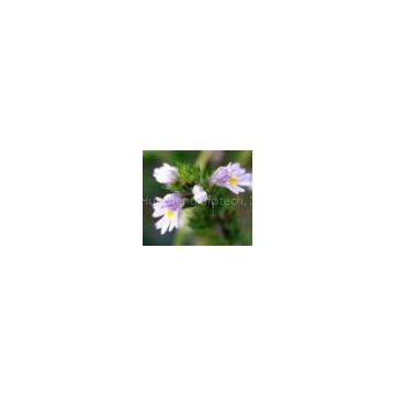 Eyebright P.E. （rossonl@huacheng-biotech.com）