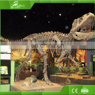 KAWAH Museum Artificial Educational Dinosaur Skeletons For Kids photo-2