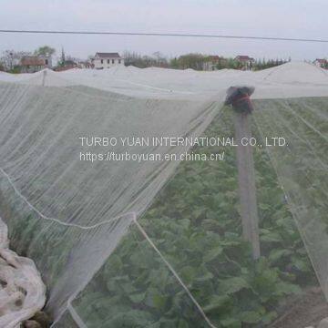 Agriculture Greenhouse Anti Aphid Insect Protection Net for Tunnel Farming photo-5