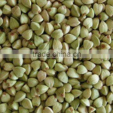 Low Gluten Buckwheat Organic