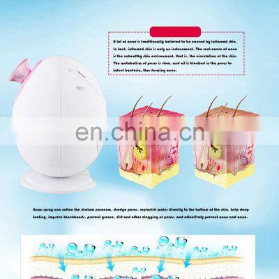 Fashion Design OEM 300W 90ML Portable Facial Steamer Electric Face Steamer Facial Spa With Adjustable Nozzle photo-4