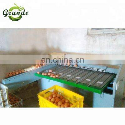 Grande Best Selling High Efficiency Automatic Egg Electric Sorting Machine photo-3