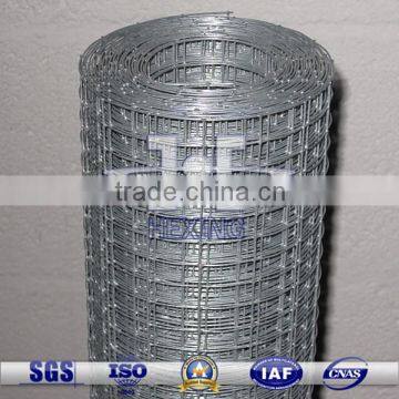 Hot-dipped Galvanized Welded Wire Mesh Roll