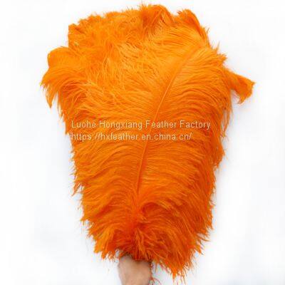 Natural 10-75cm Artificial Ostrich Feather for Party and Wedding Decoration photo-4