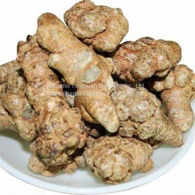 Radix Notoginseng Extract Ginsenoside 80%, Panax Notoginseng Root Powder, Notoginseng leaf powder Extract, Ginseng Extract